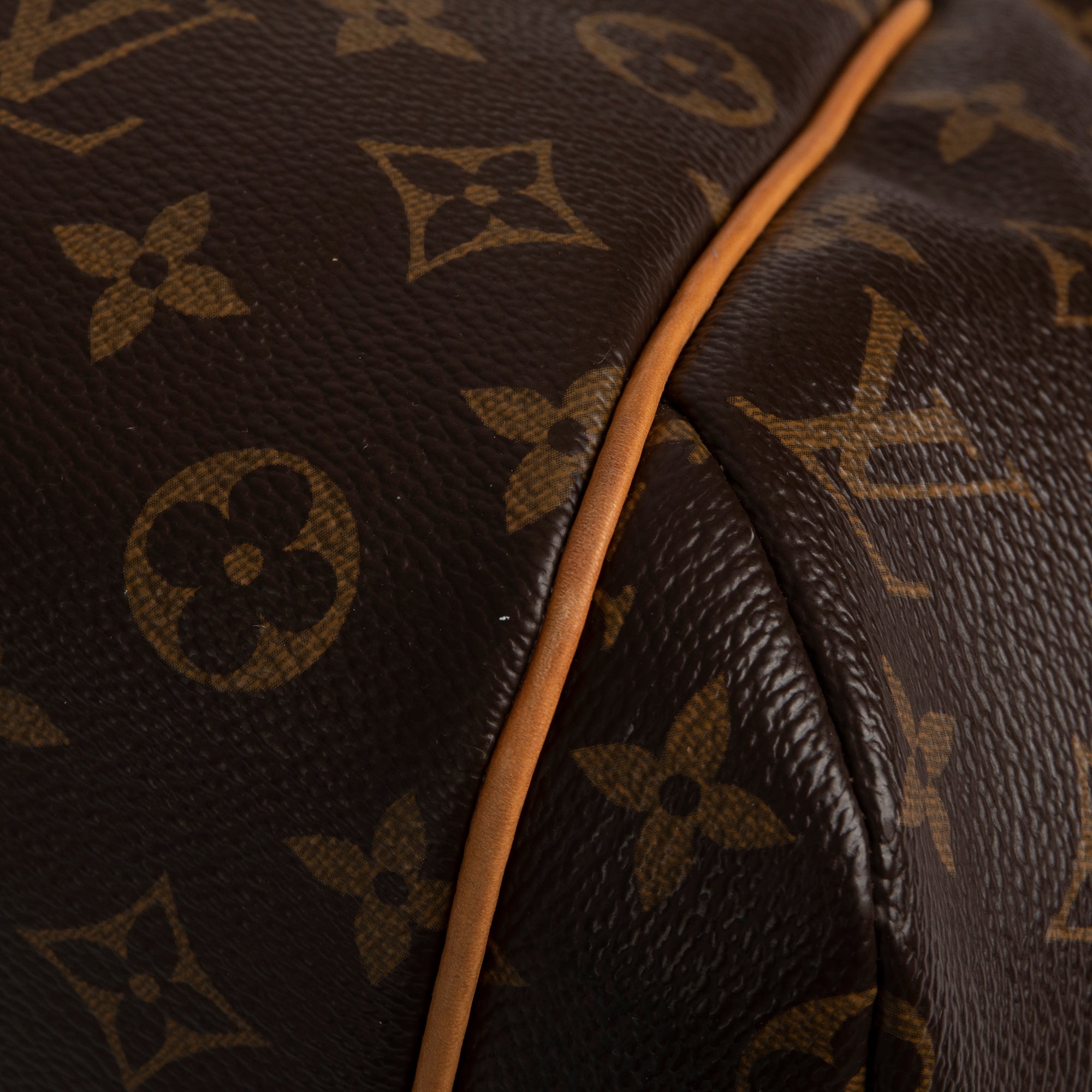 Louis Vuitton Monogram Totally PM
