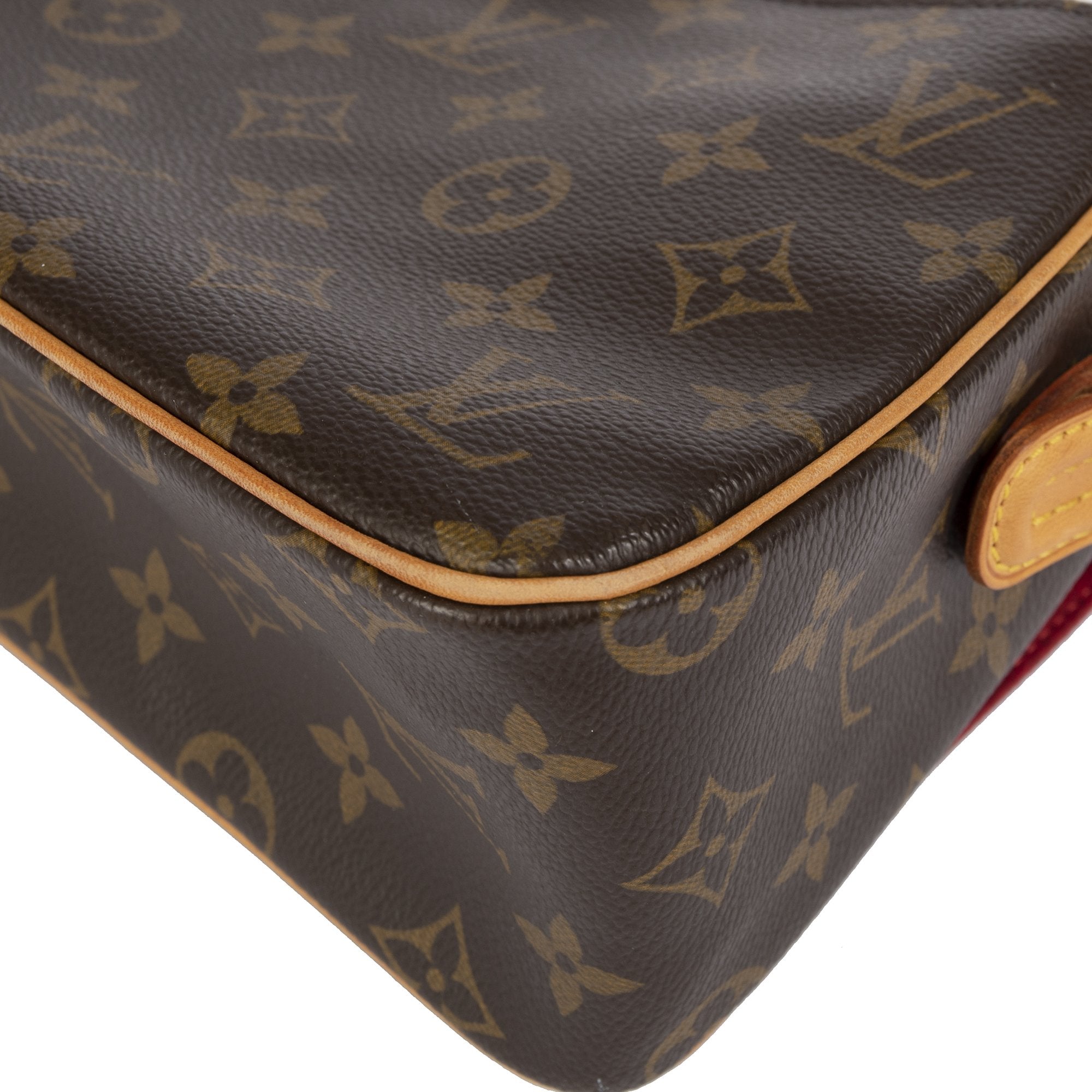 Louis Vuitton Monogram Viva Cite MM