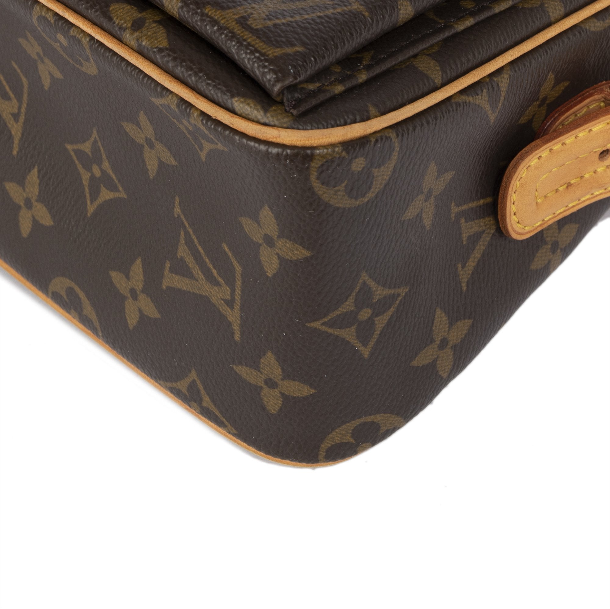 Louis Vuitton Monogram Viva Cite MM