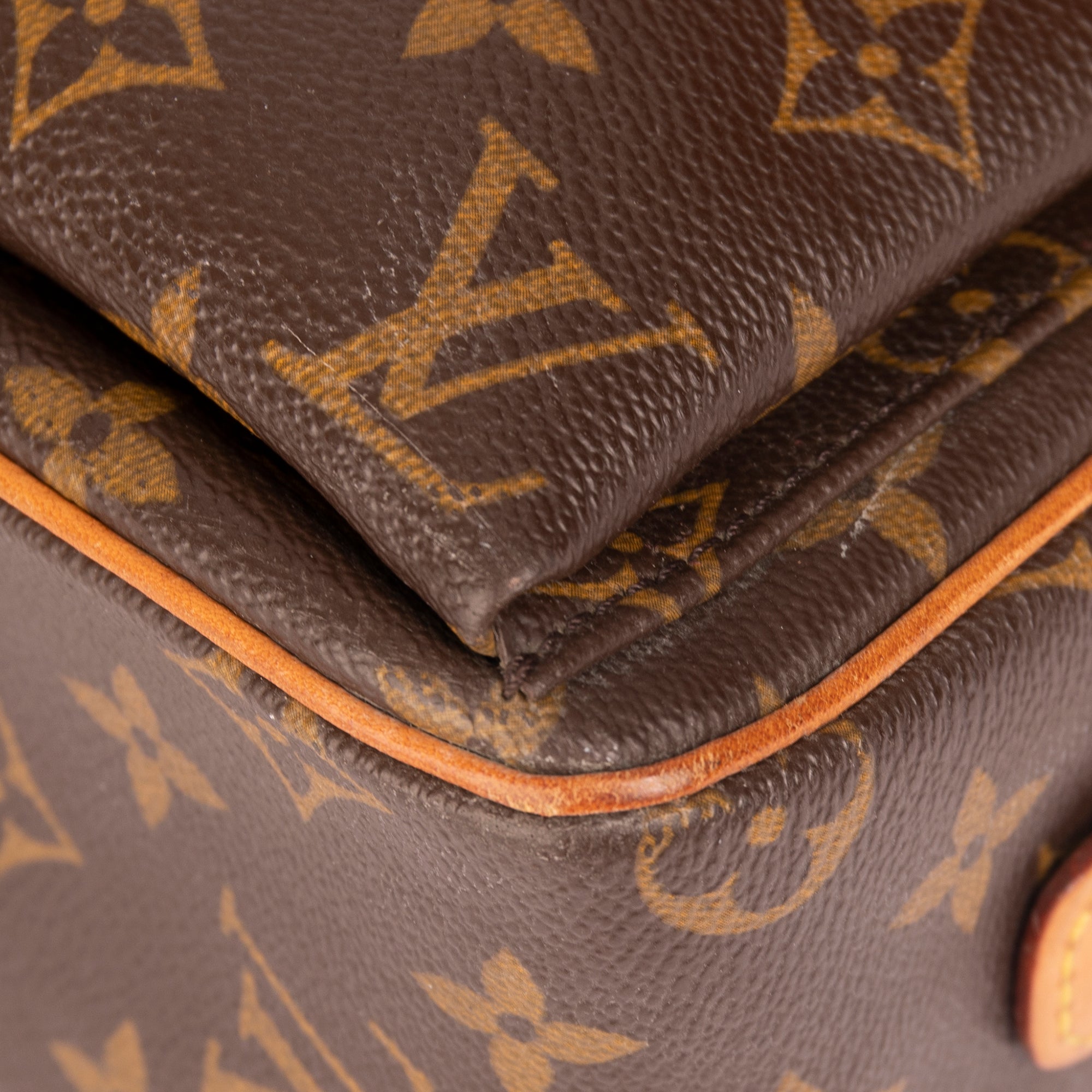 Louis Vuitton Monogram Viva Cite MM