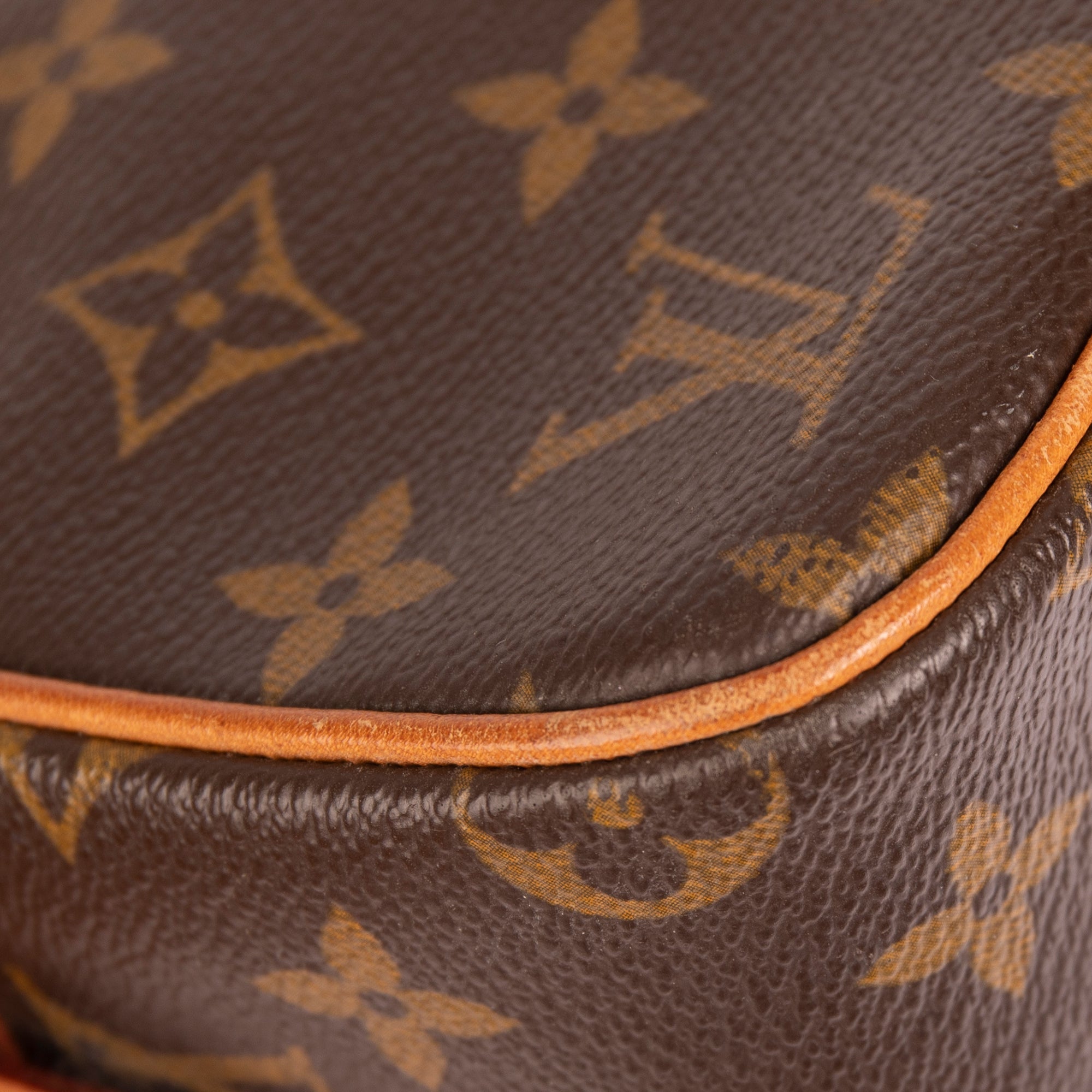 Louis Vuitton Monogram Viva Cite MM