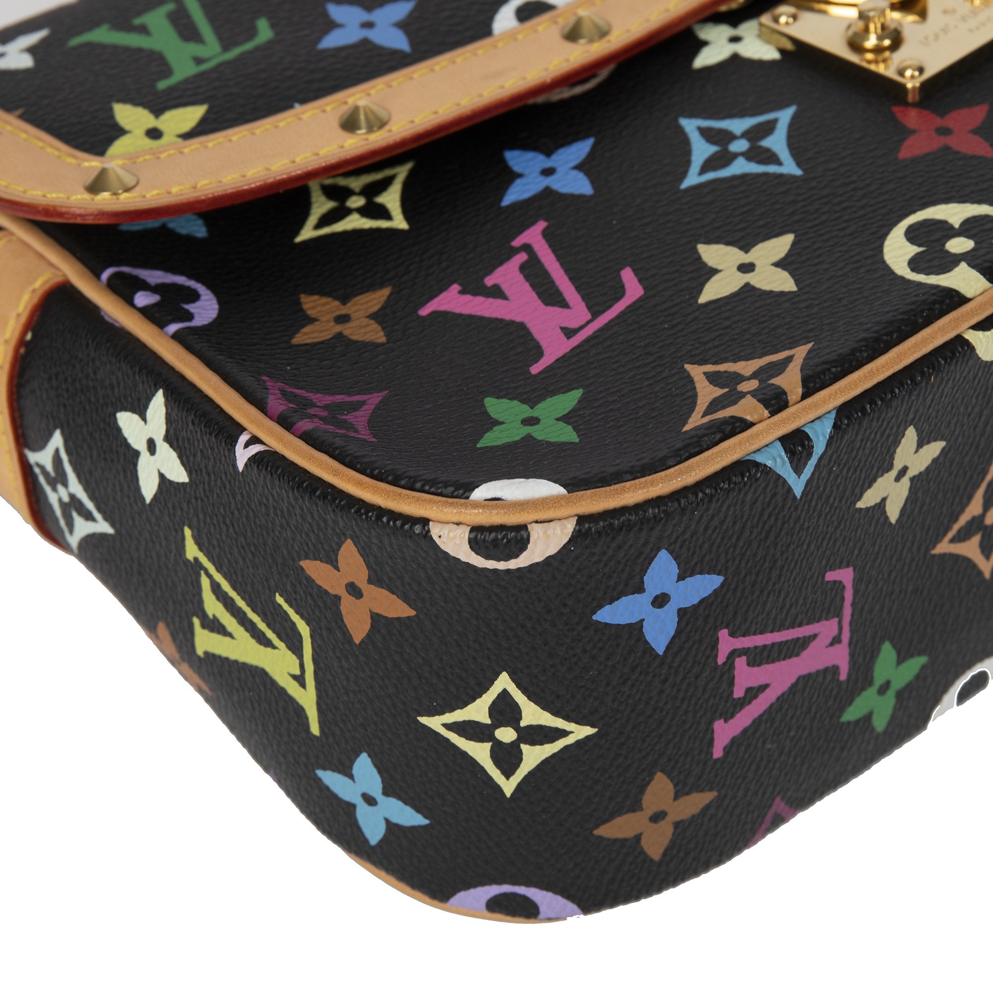 Louis Vuitton Multicolor Monogram Sologne Bag