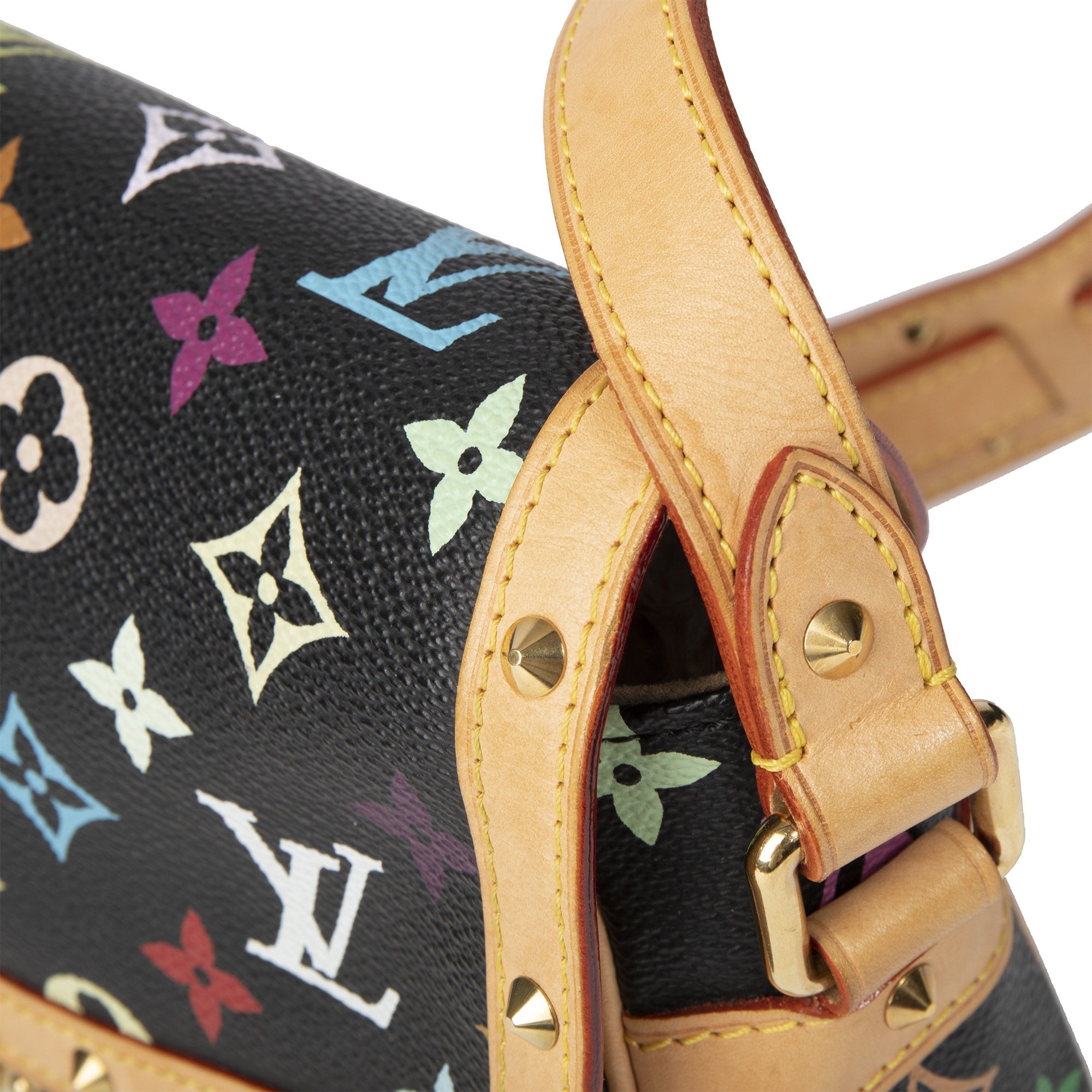 Louis Vuitton Multicolor Monogram Sologne Bag