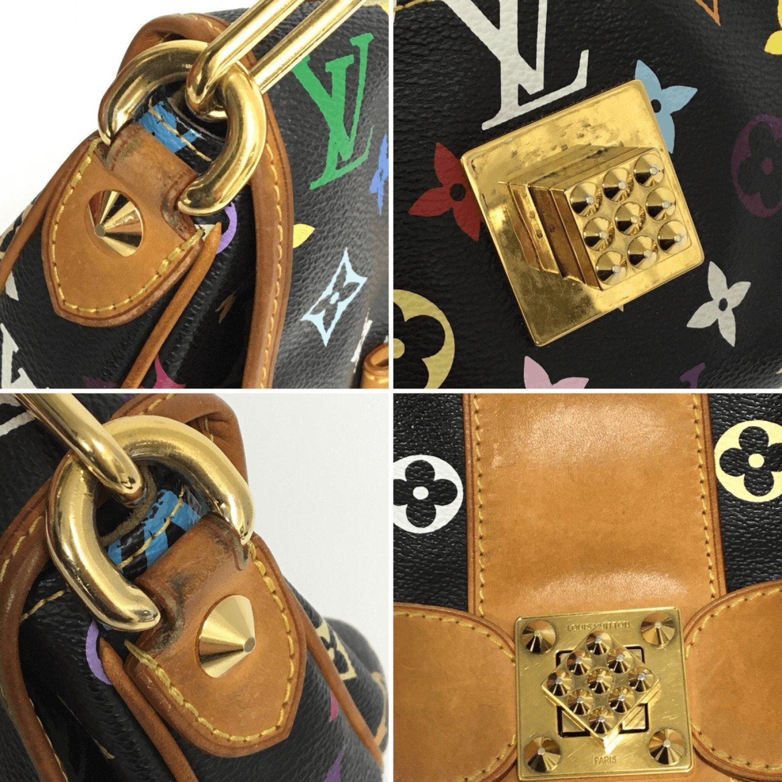Louis Vuitton Multicolore Patti Bag