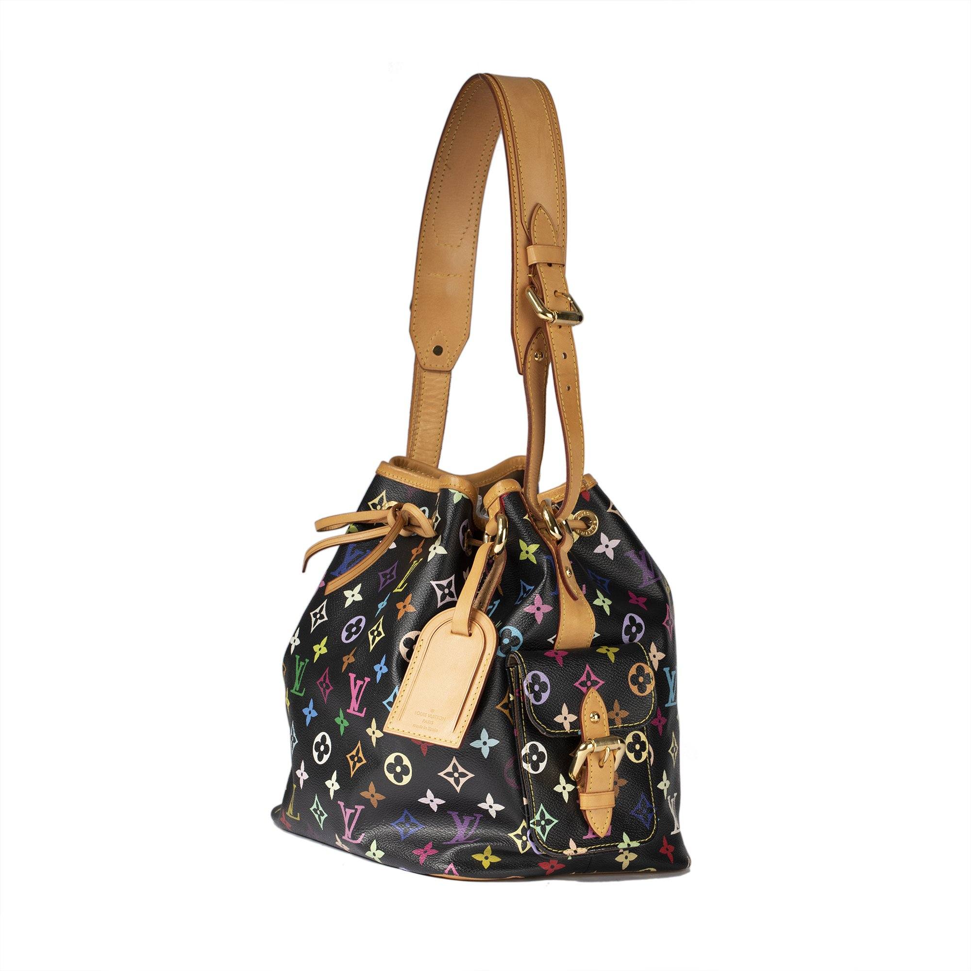 Louis Vuitton Multicolore Petit Noe