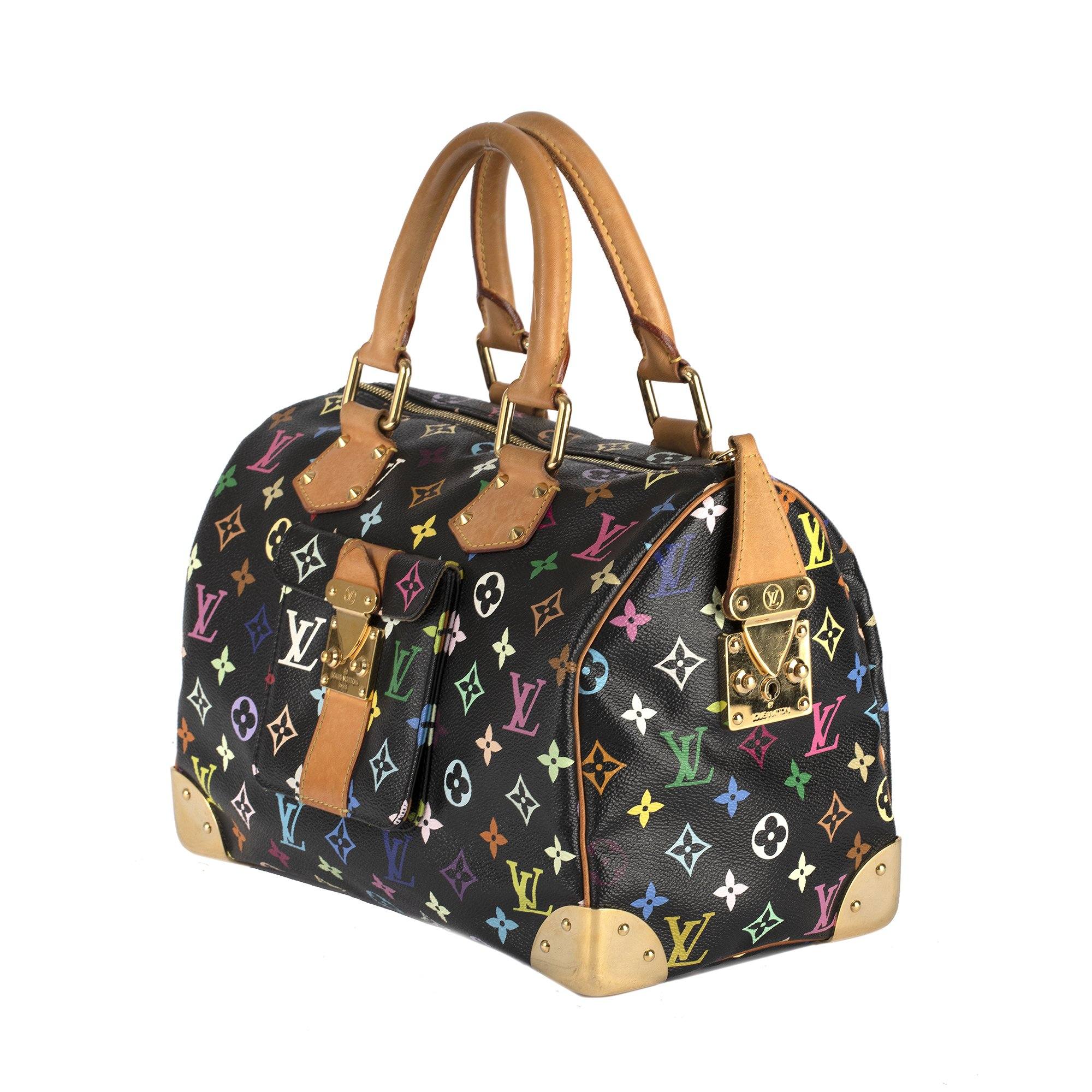 Louis Vuitton Multicolore Speedy 30