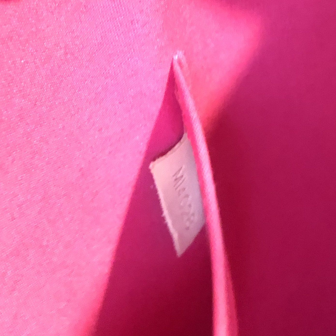 Louis Vuitton Vernis Alma GM