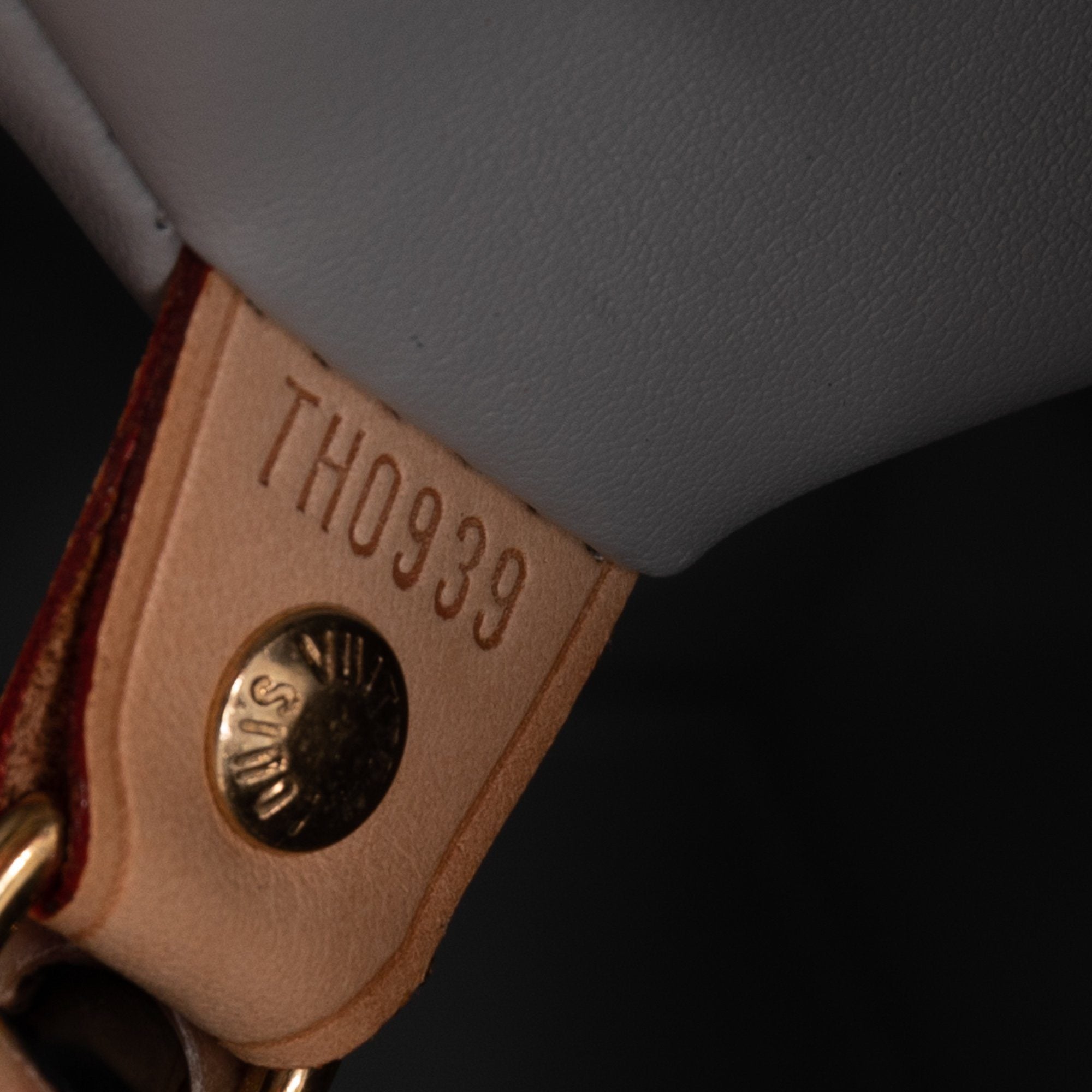 Louis Vuitton Vernis Houston Tote