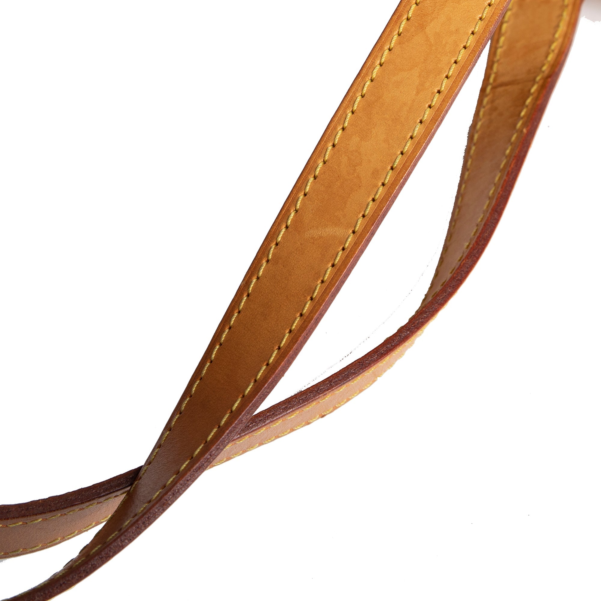 Louis Vuitton Vernis Houston Tote