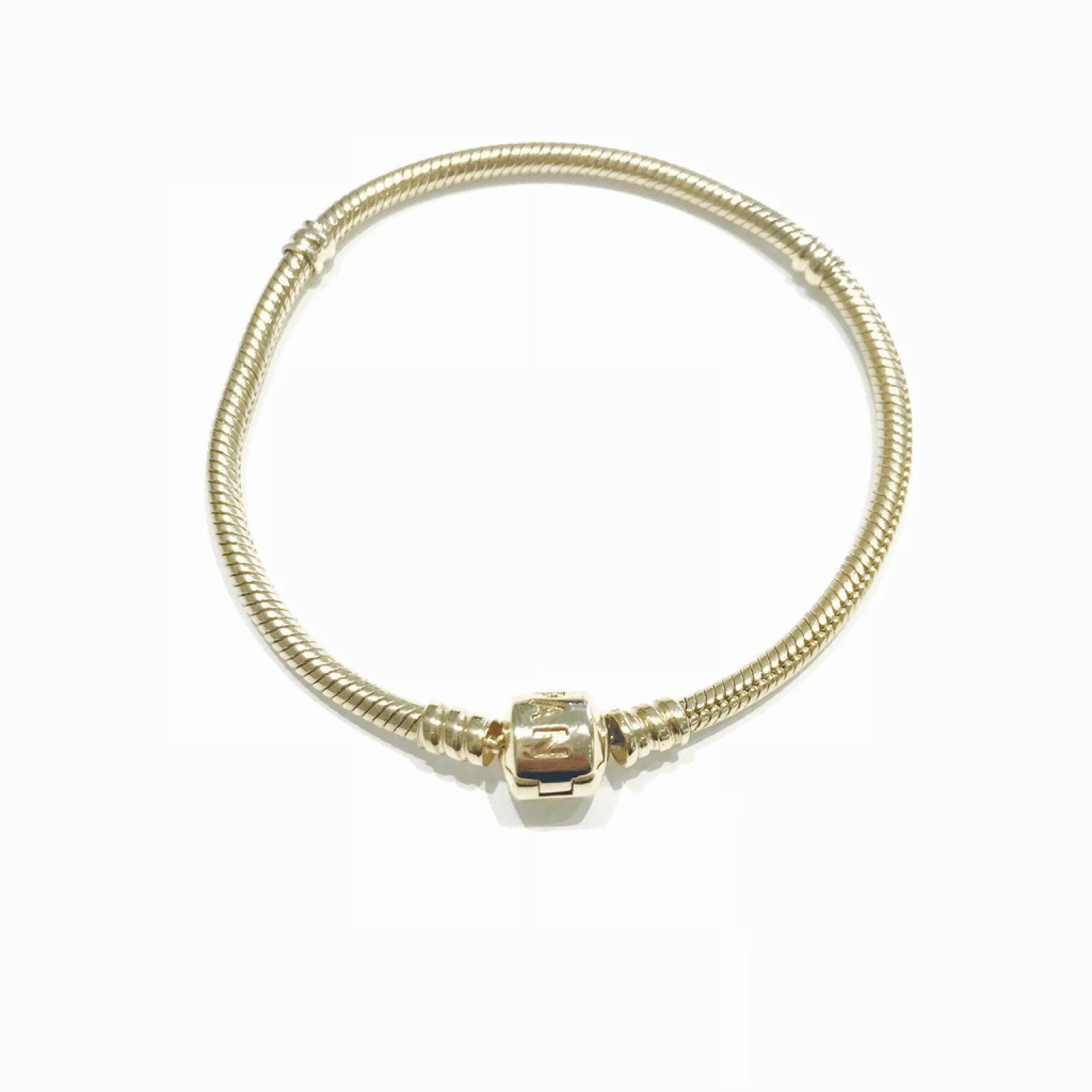 Pandora Charm Bracelet