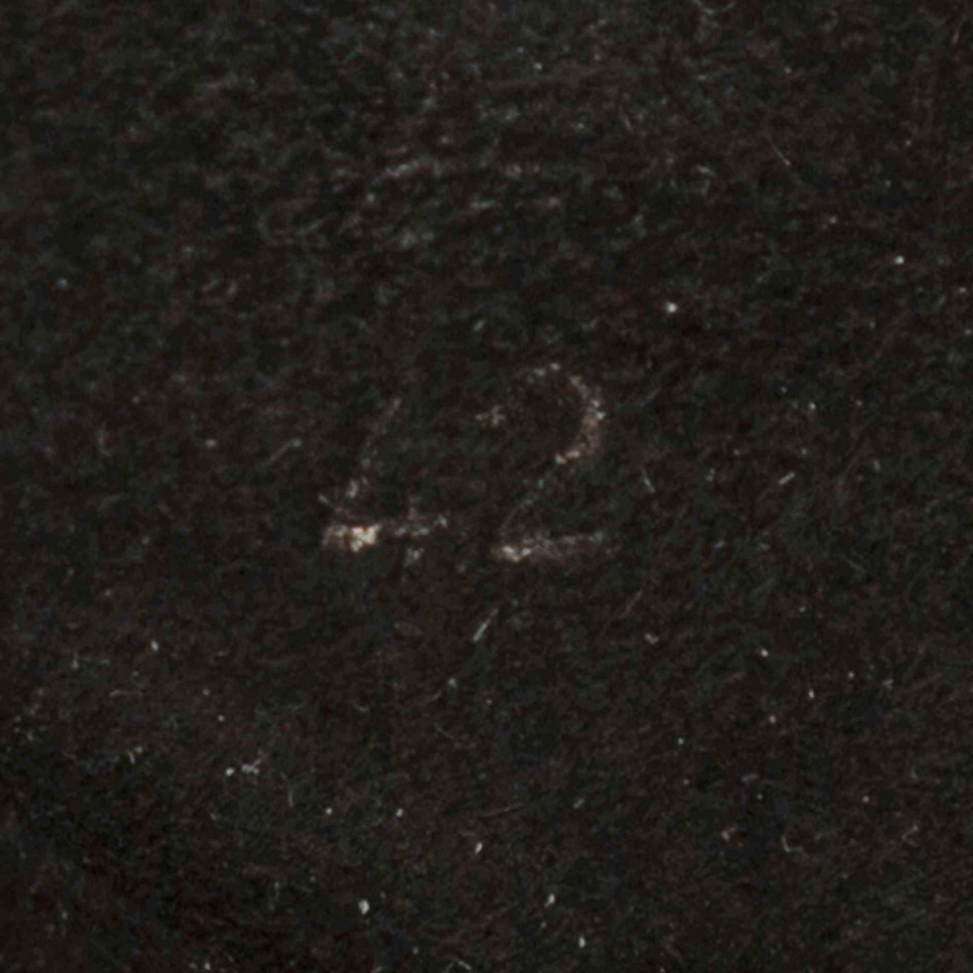 Prada Cosmic Glasses Case