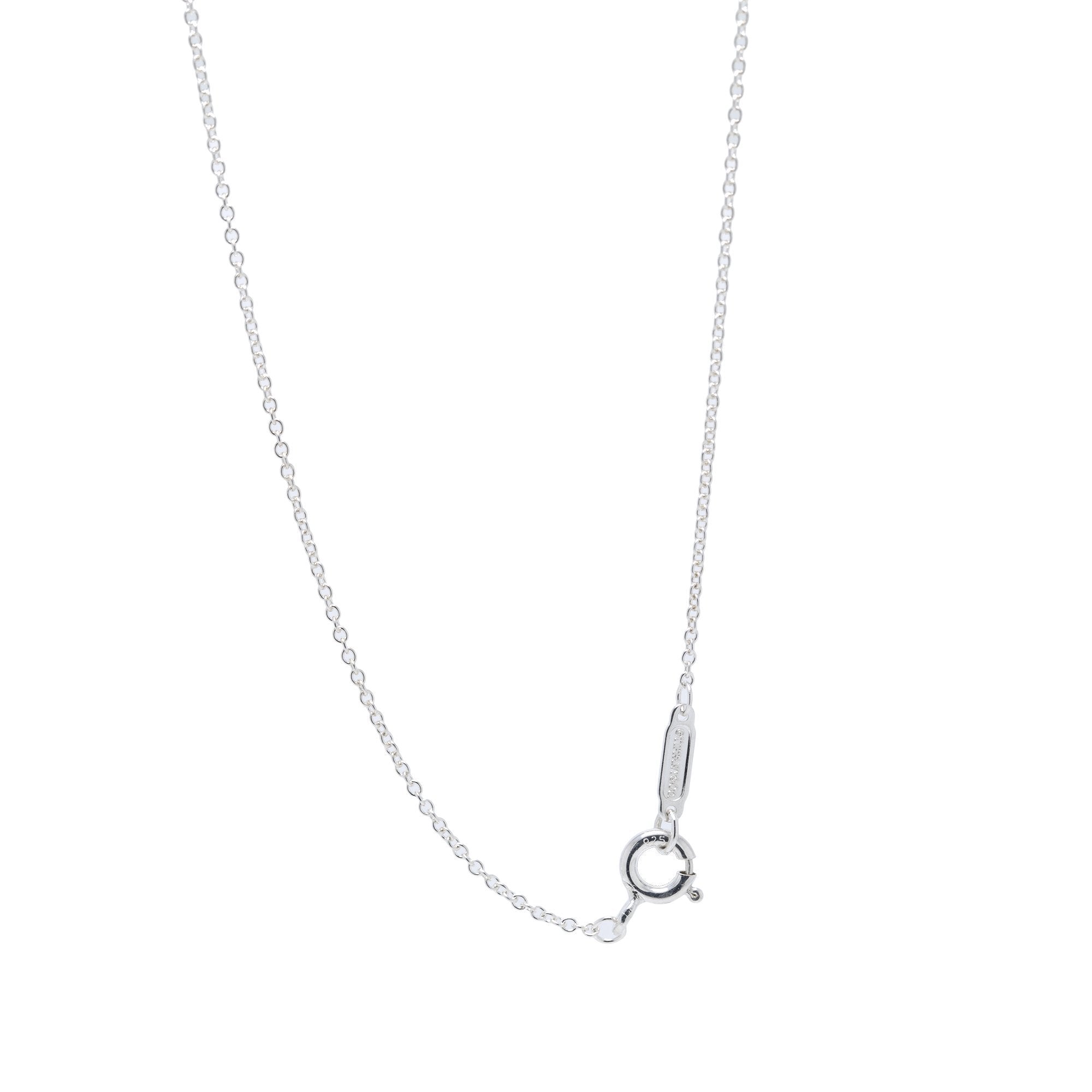 Tiffany & Co. 1837 Interlocking Circles Pendant Necklace