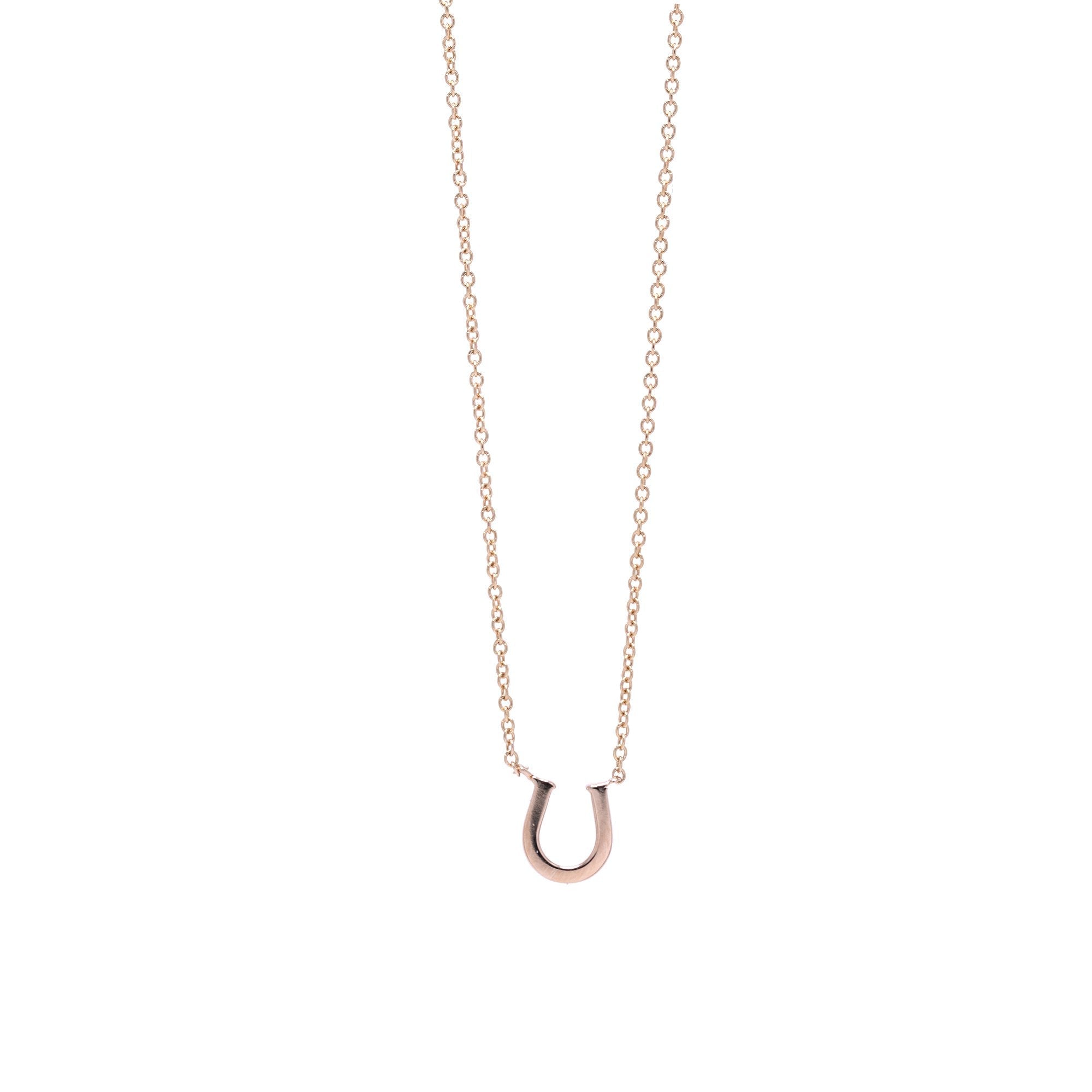 Lucky Crystal Horseshoe Necklace – Jewel Cult