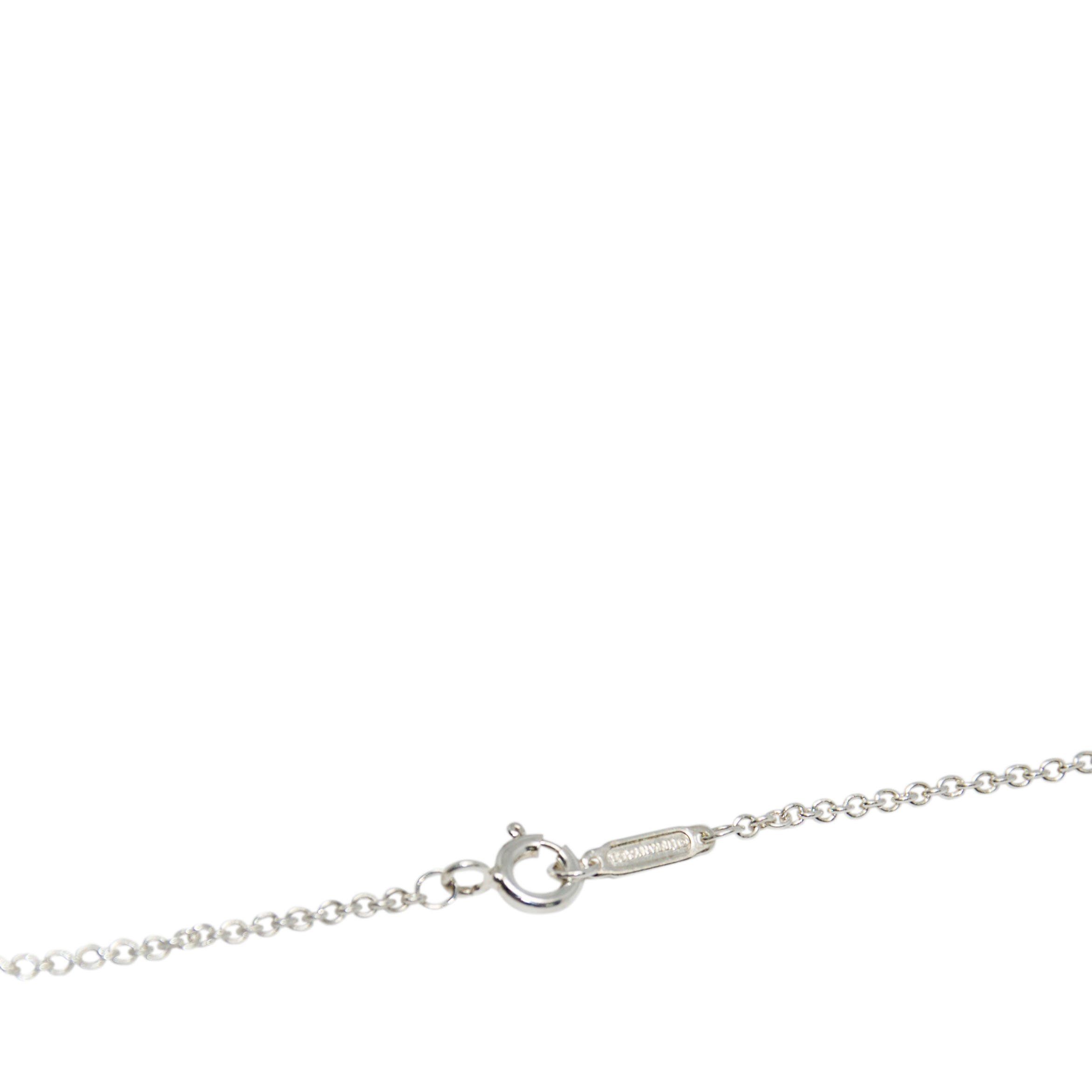 Tiffany & Co. Horseshoe Pendant Necklace