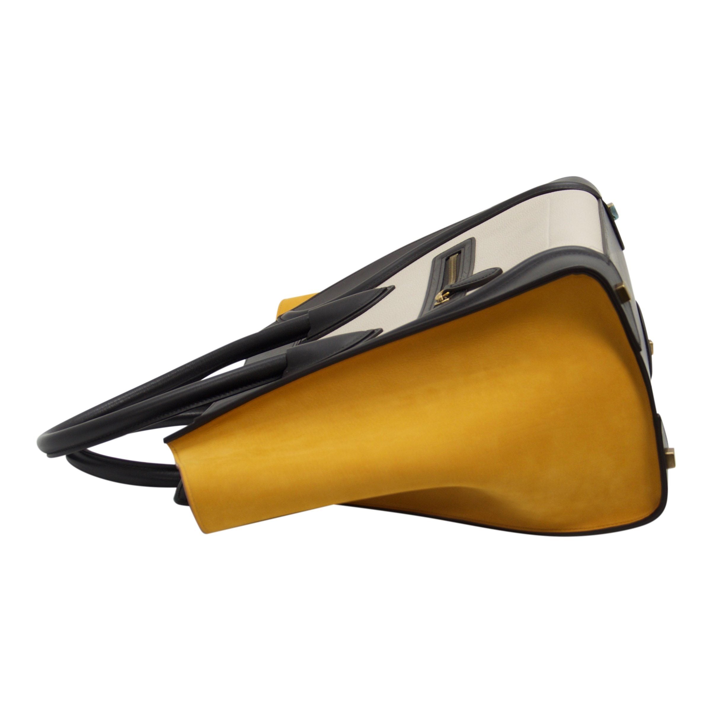 Celine Tricolour Mini Luggage Tote