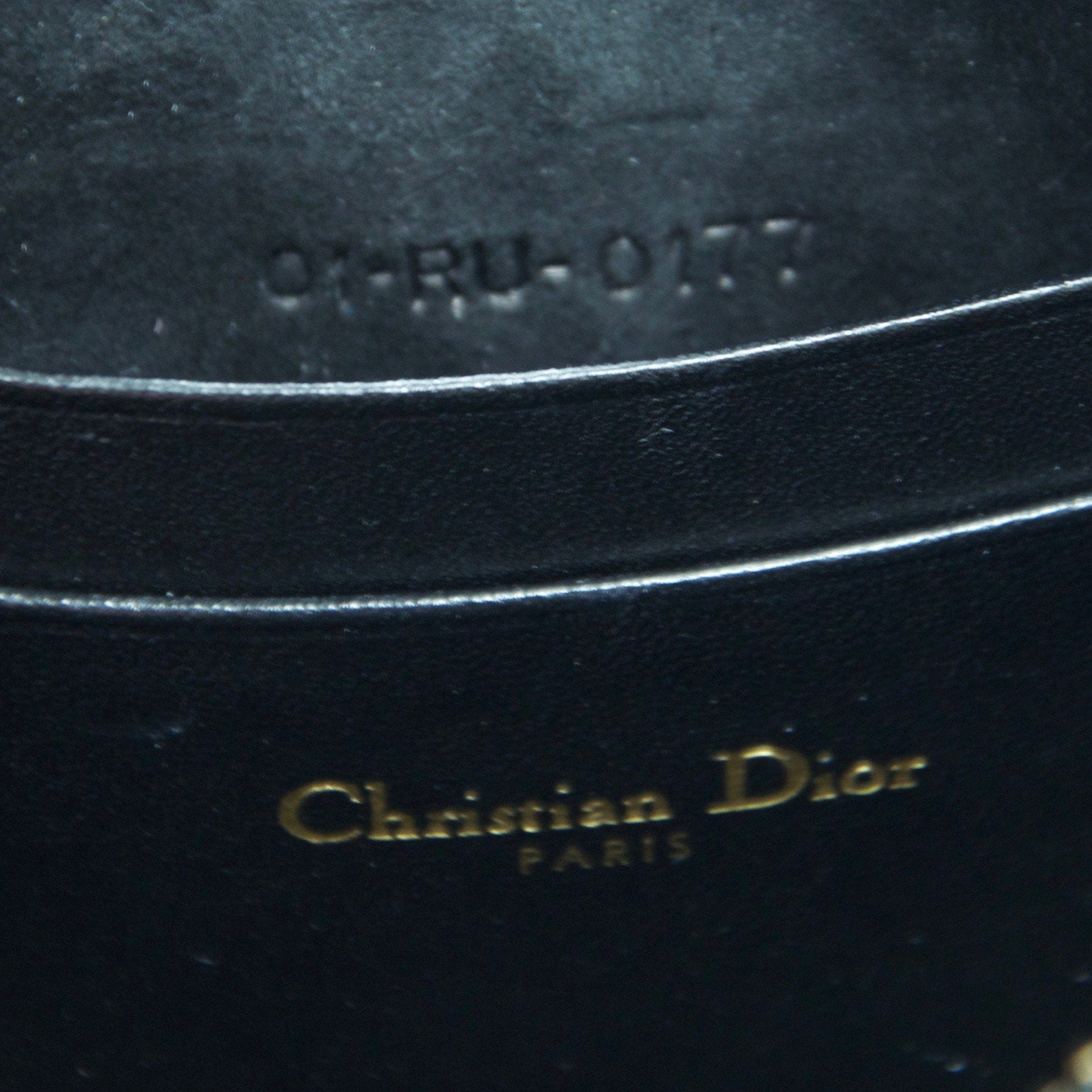 Lady Dior Camera Case Clutch