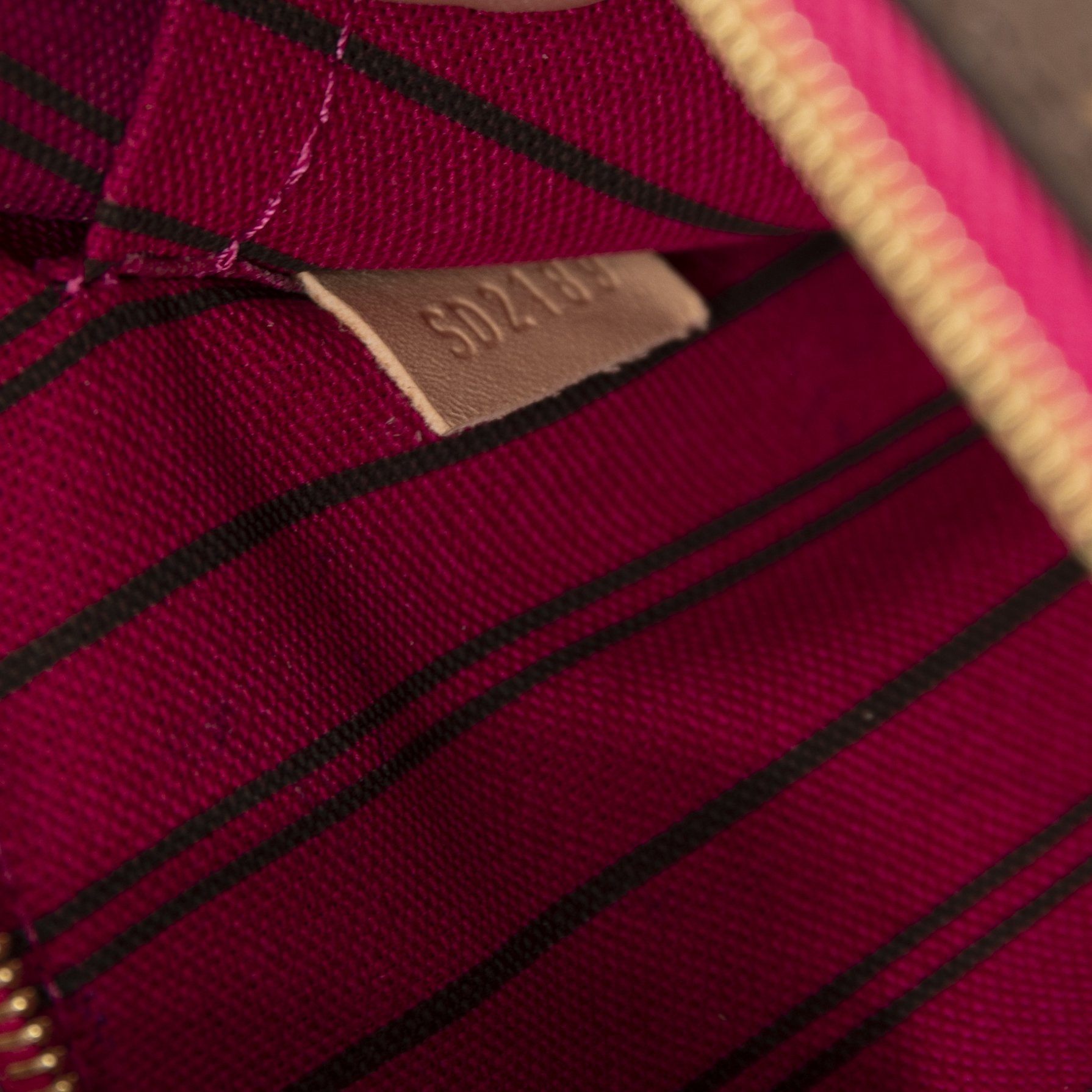 Louis Vuitton 2019 Monogram Neverfull Pochette