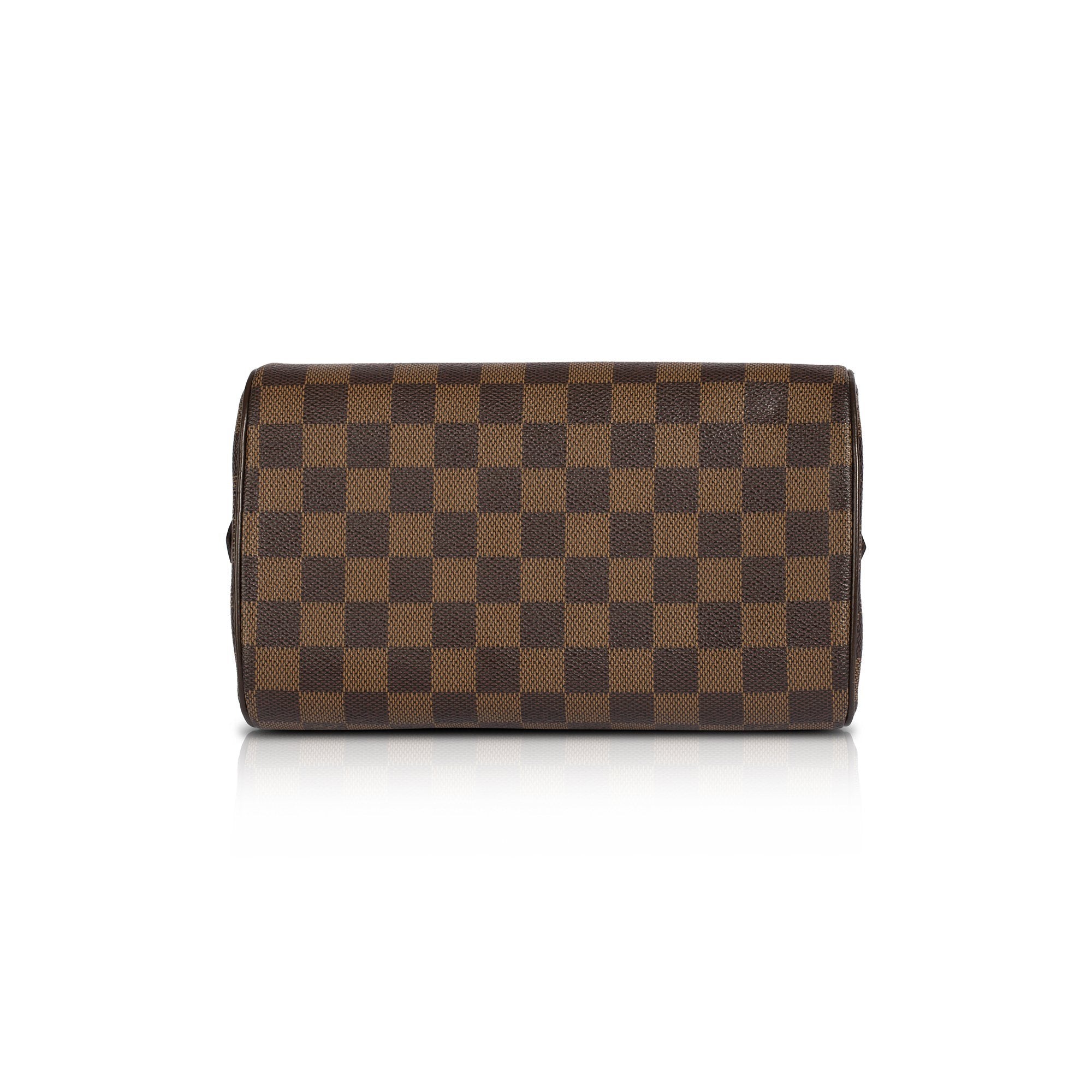 Louis Vuitton Damier Ebene Mini Ribera Bag