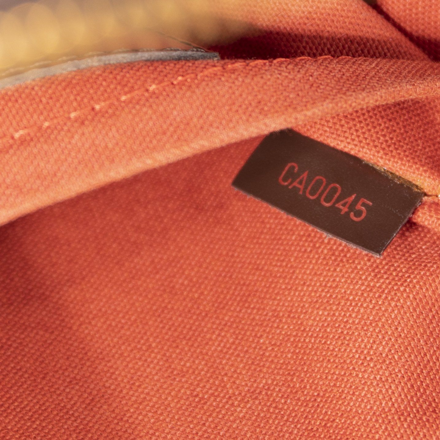 Louis Vuitton Damier Ebene Ribera MM