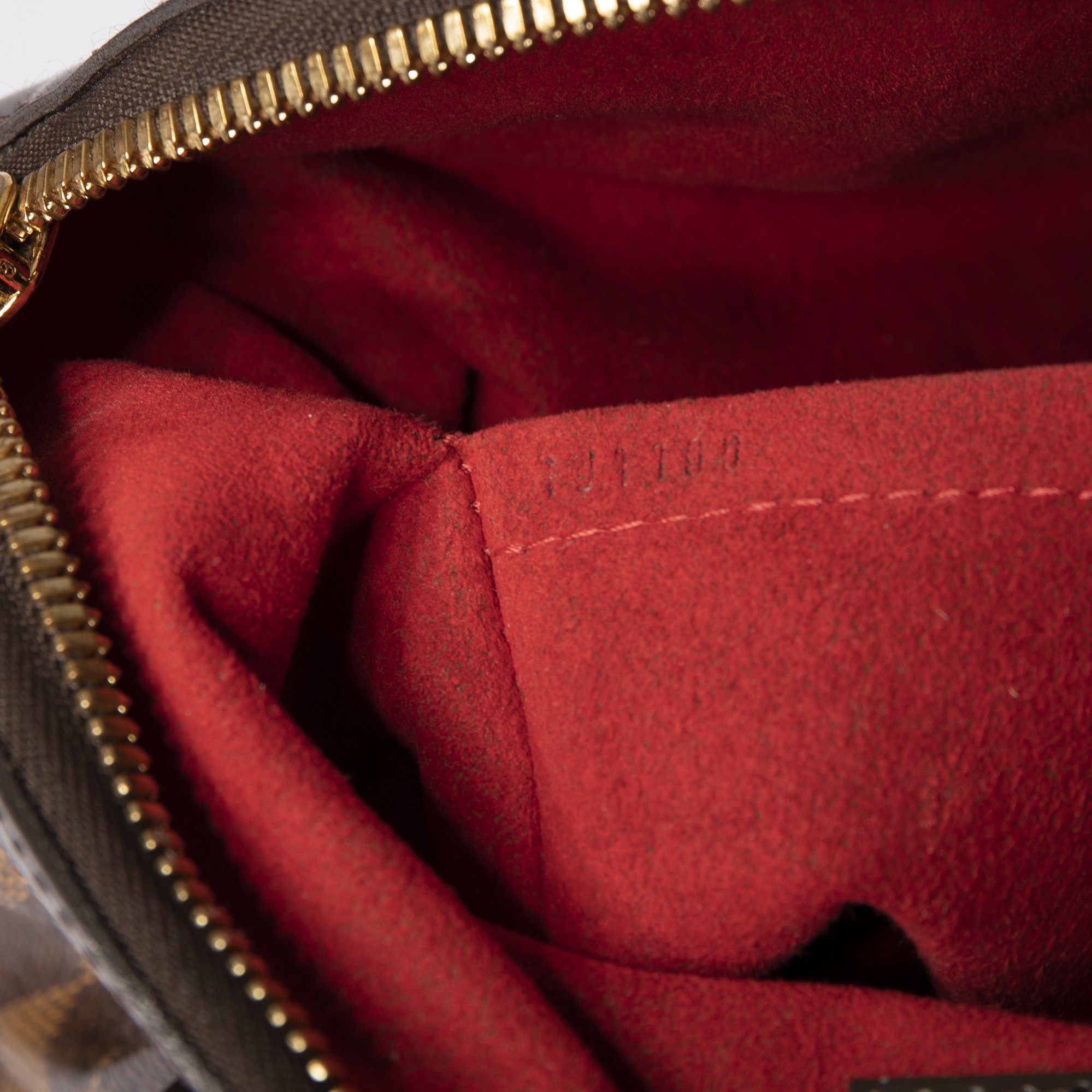 Louis Vuitton Damier Ebene Trevi PM