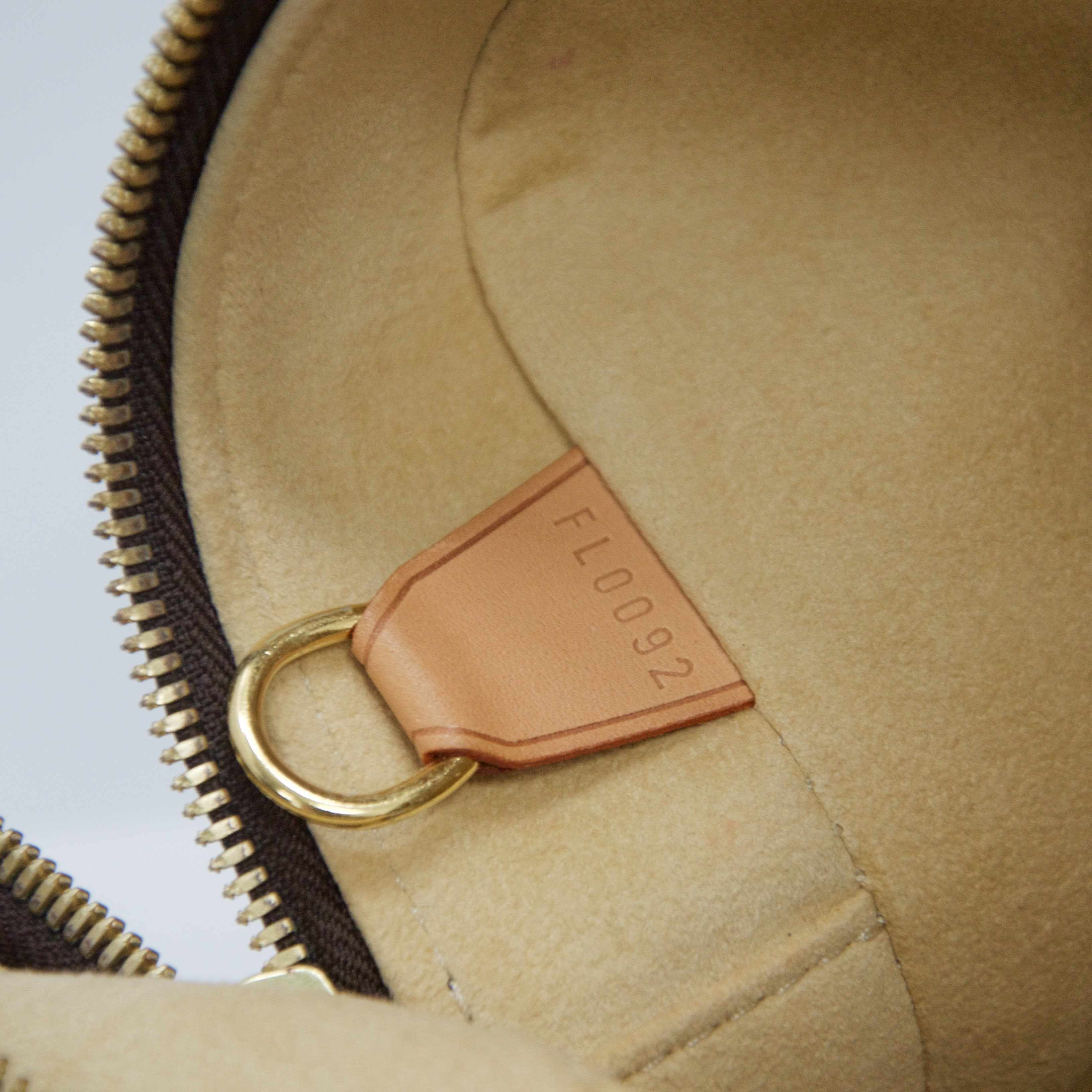 Louis Vuitton Monogram Cite GM