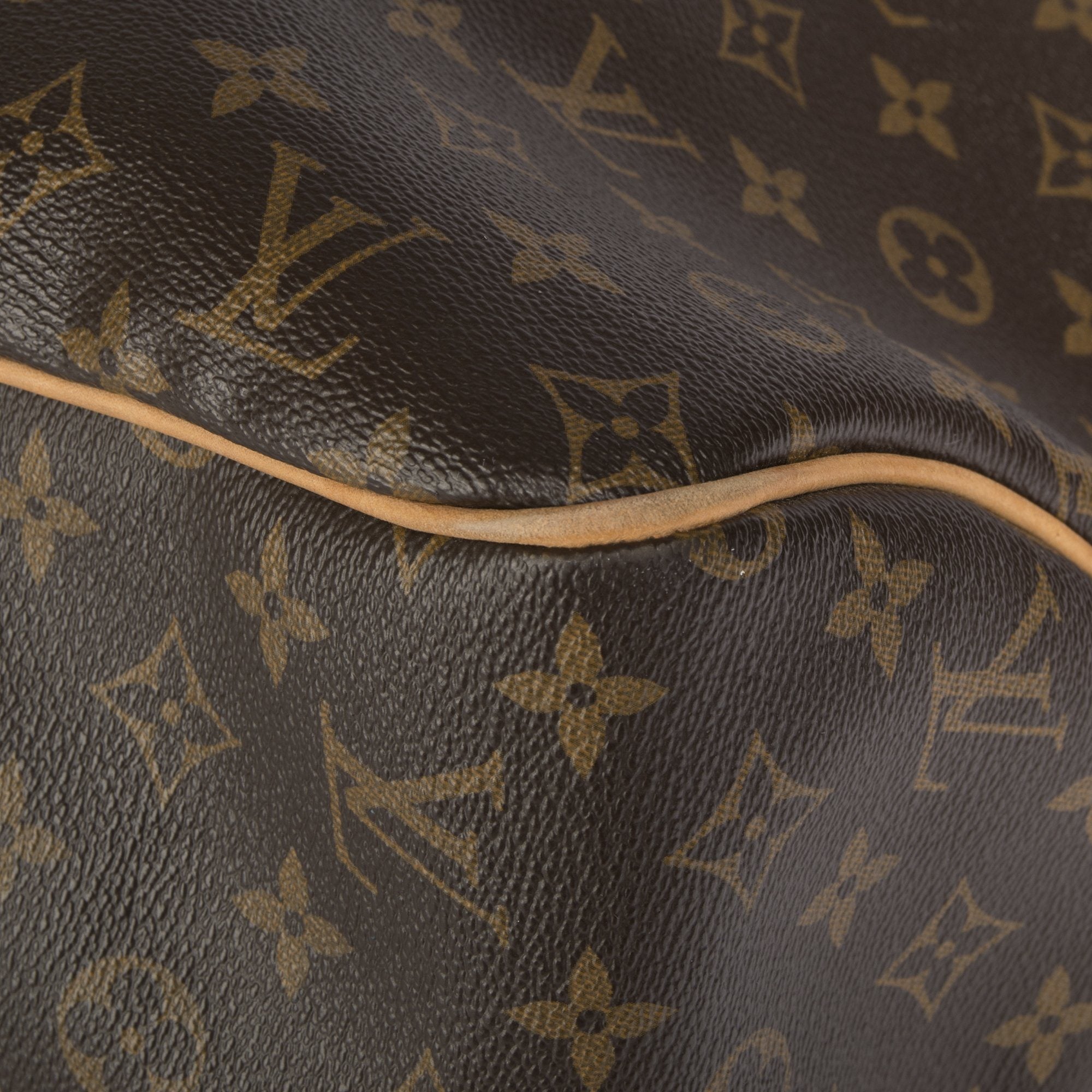 Louis Vuitton Monogram Delightful GM