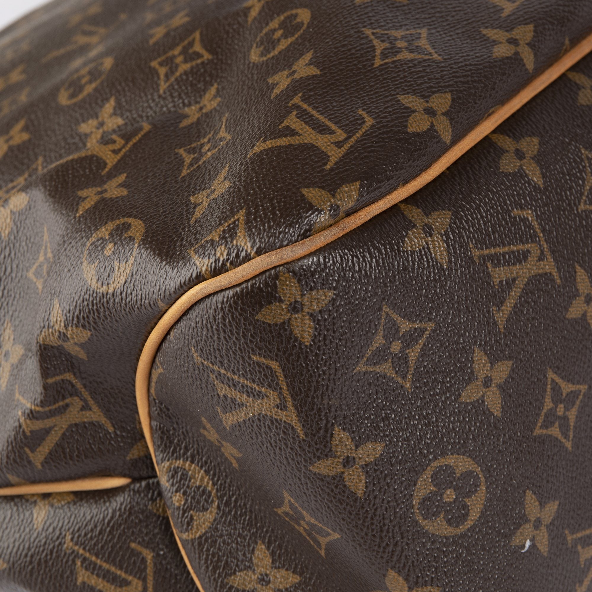 Louis Vuitton Monogram Delightful MM