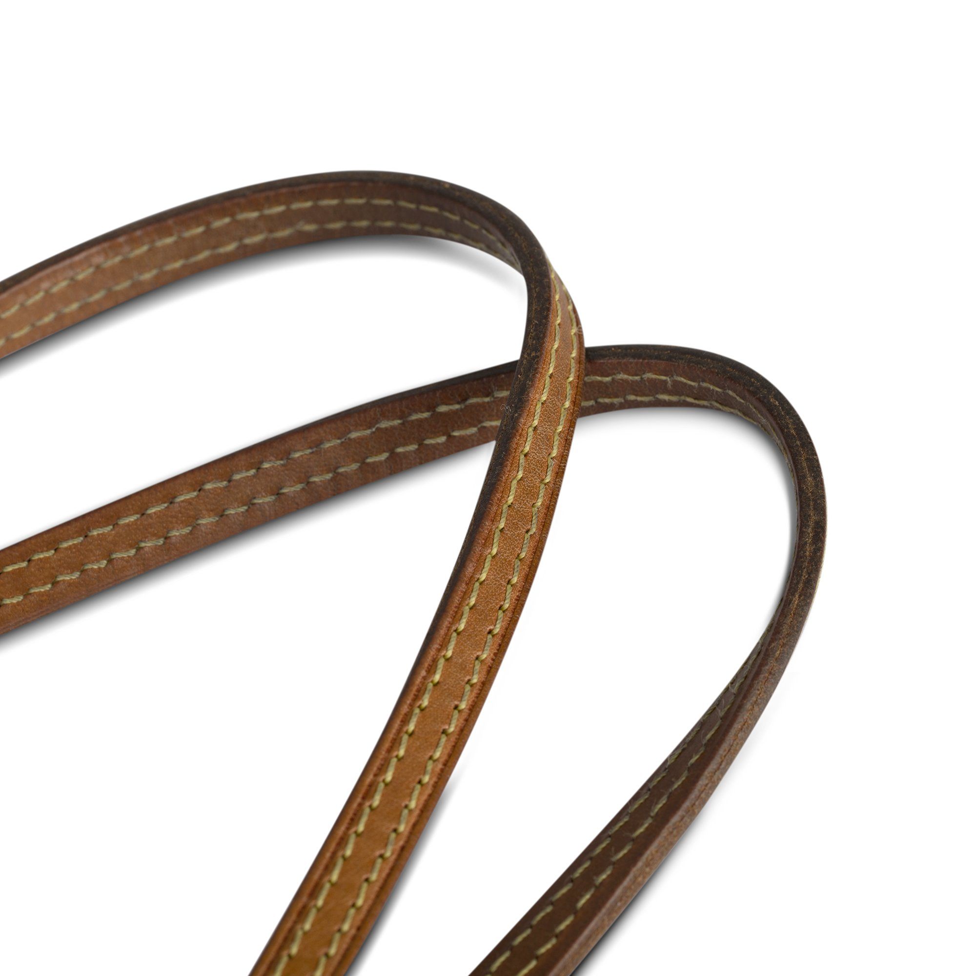 Louis Vuitton Monogram Neverfull PM