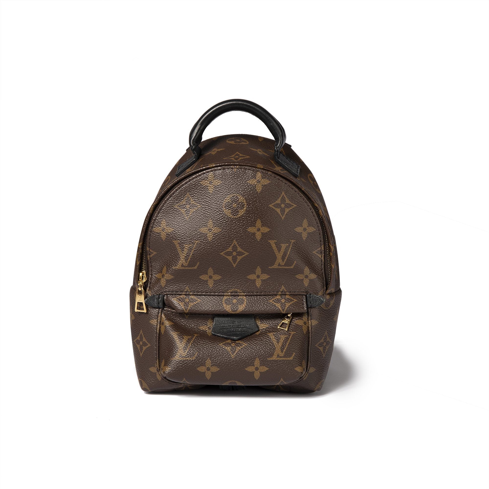 Louis Vuitton Monogram Palm Springs Mini Backpack – Oliver Jewellery