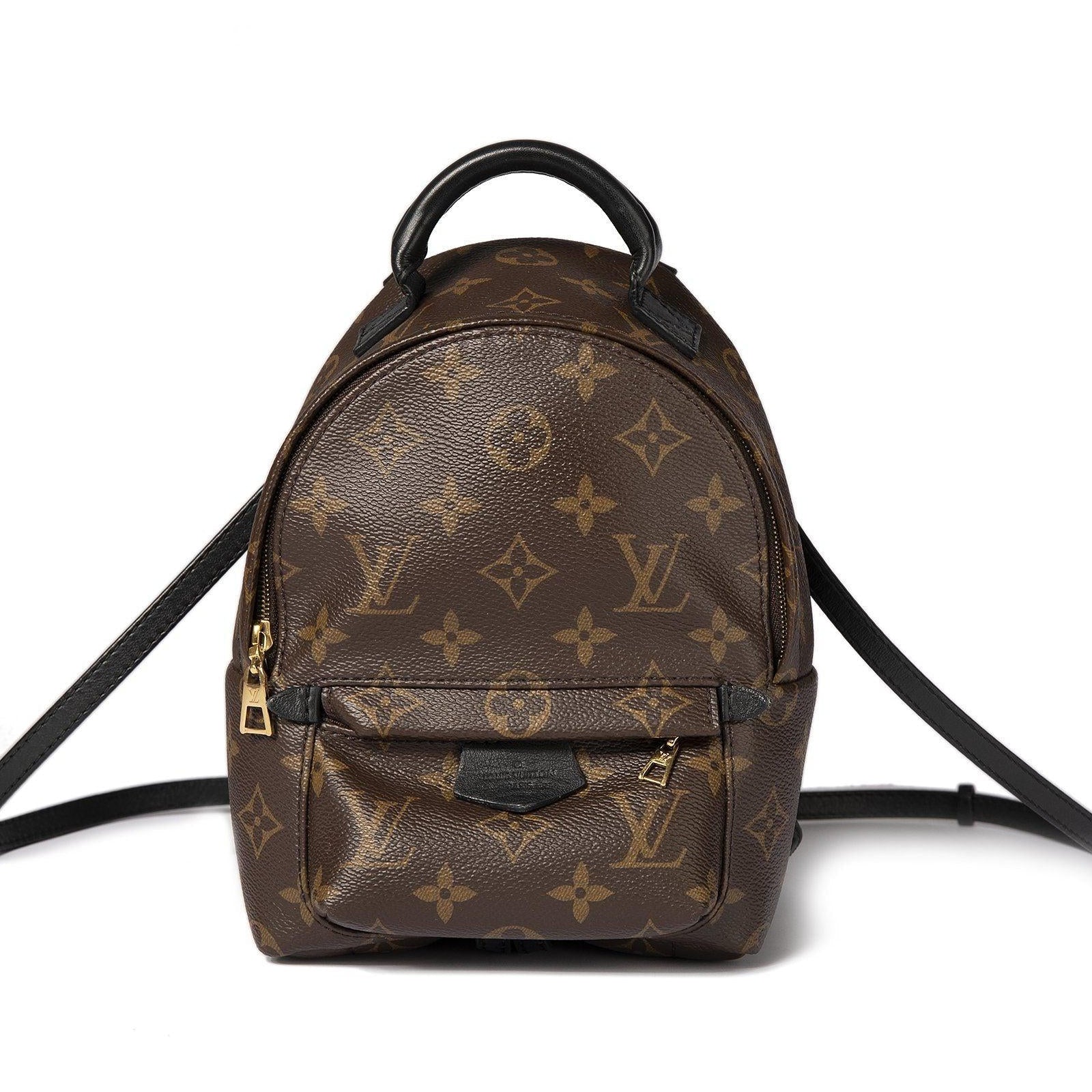 Louis Vuitton Monogram Palm Springs Mini Backpack – Oliver Jewellery