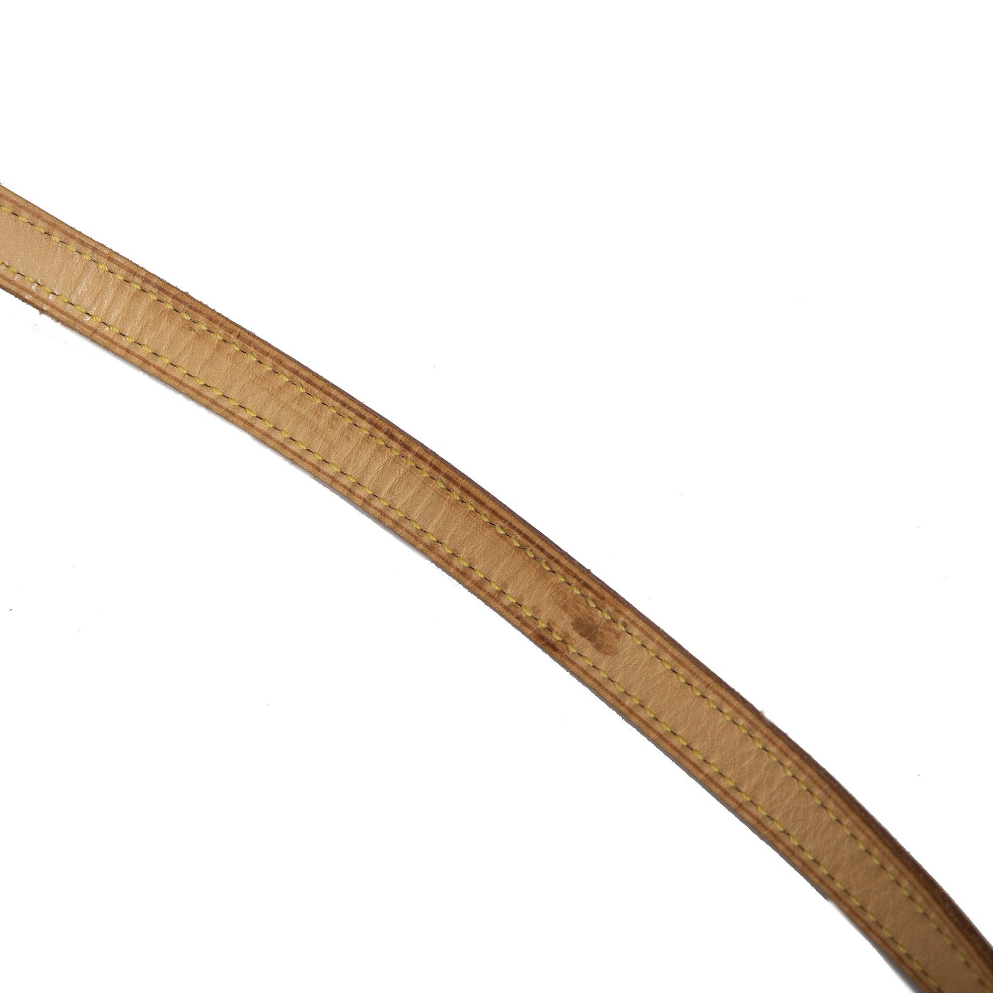 Louis Vuitton Monogram Sac Coussin GM