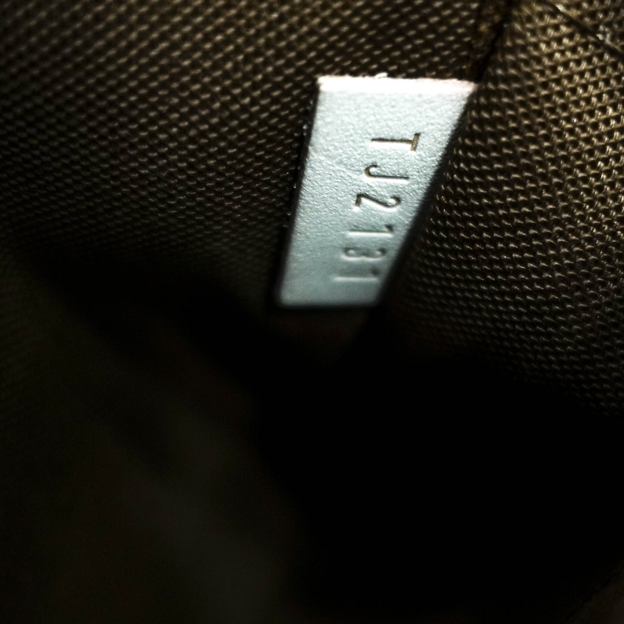 Louis Vuitton Monogram Sologne Bag